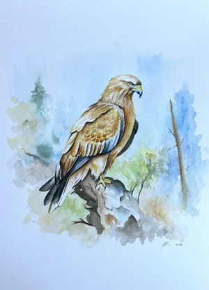 Eagle on a Branch